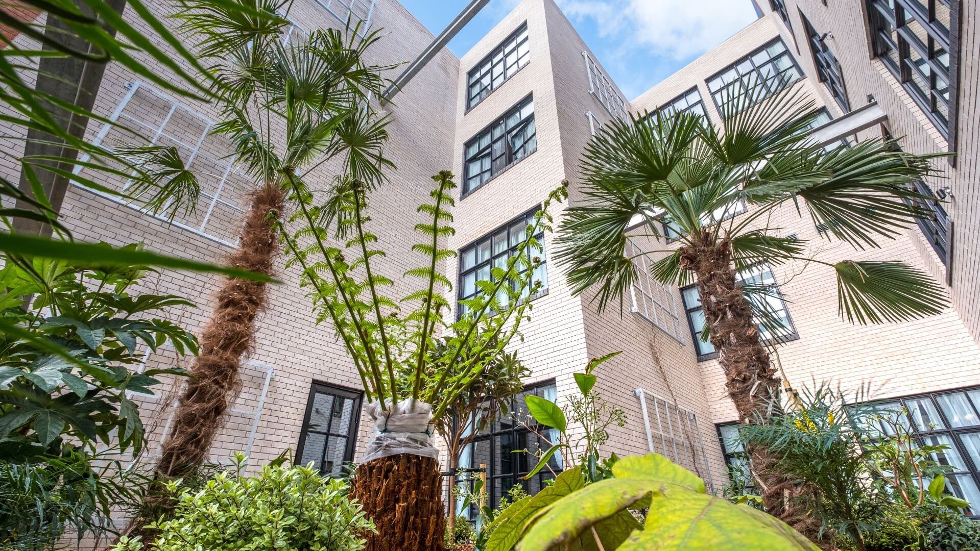 photo of hotel courtyard looking up at buildings through palm trees and plants